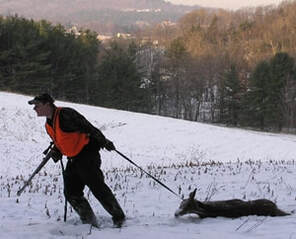 Hunting in Vermont